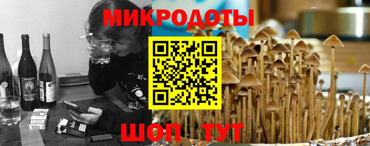 Галлюциногенные грибы мицелий  Вход с VPN  Карпинск 